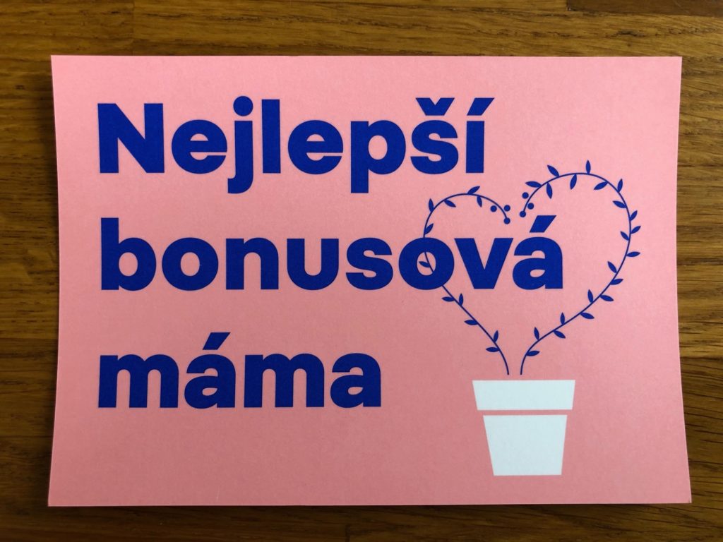 fb_bonusova_mama